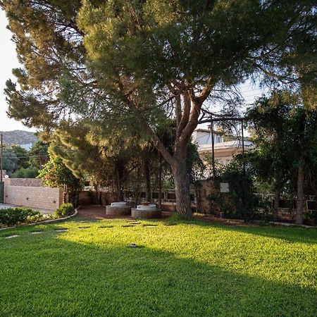 Sounio Panoramic Loft Apartman Szúnio Kültér fotó